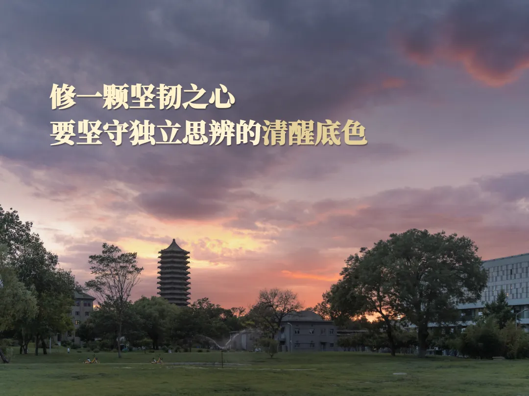 张辉05.jpg
