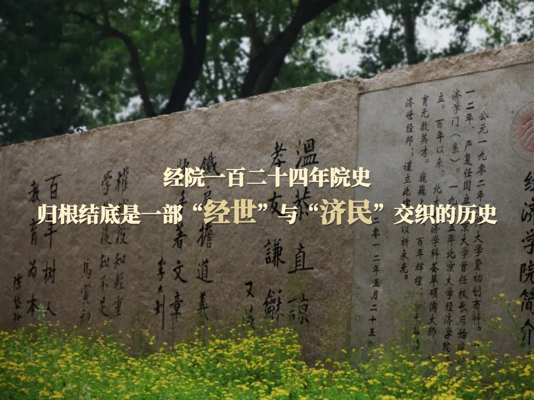 张辉10.jpg