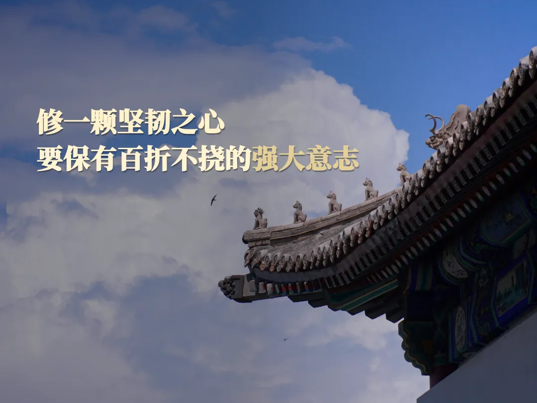 张辉04.jpg